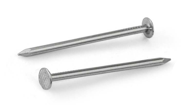 flat head nail