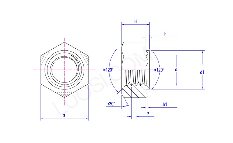 Hex Projection Weld Nuts