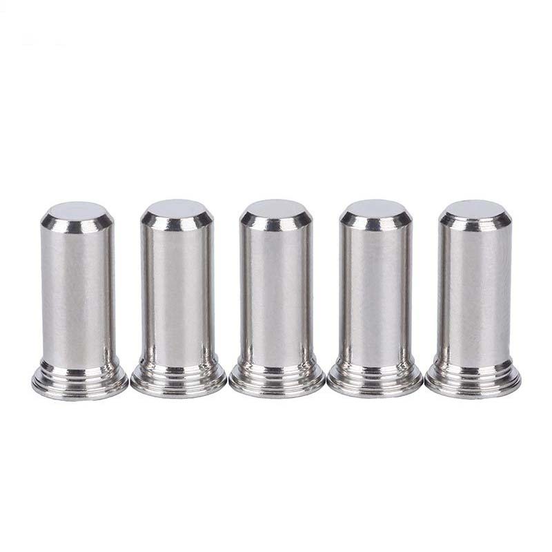 Rustfritt stål Guide Pin